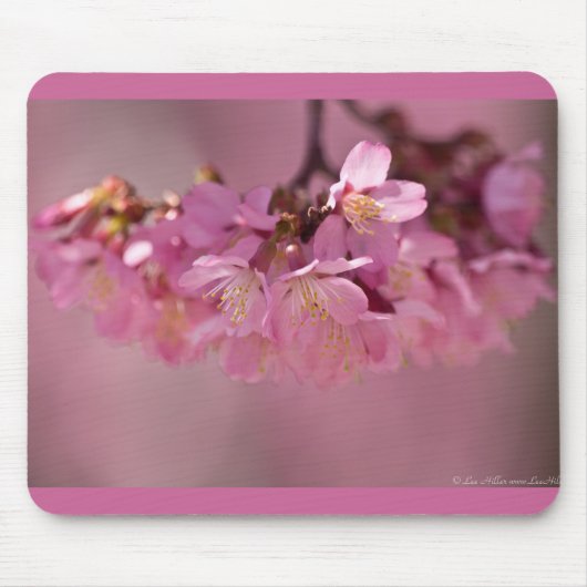 桜の温泉 2012 衣類  & ギフト マウスパッド (正面)