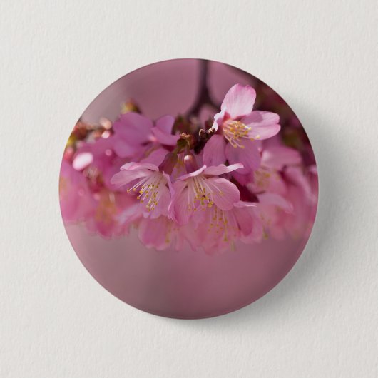 桜の温泉 2012 衣類 & ギフト 缶バッジ (正面)