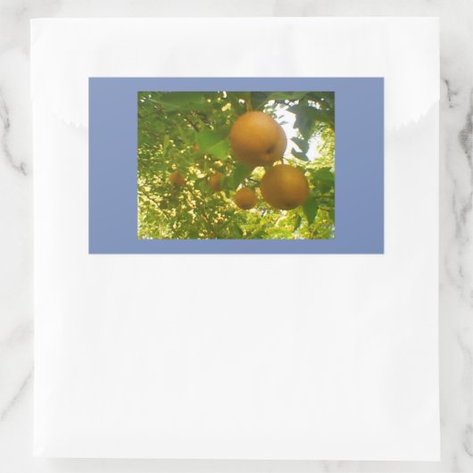 桜の花が咲く 長方形シール (バッグ)