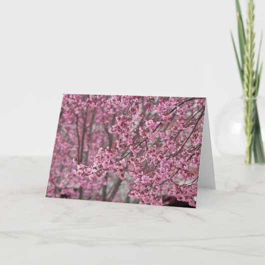 桜の花が舞い散る ピンク カード (正面)