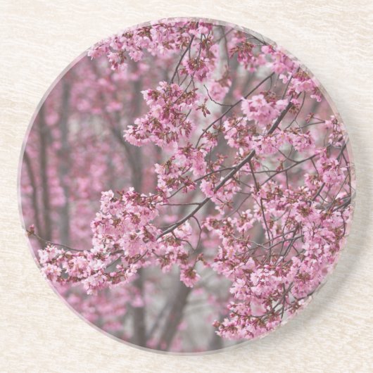 桜の花が舞い散る ピンク コースター (正面)