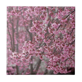 桜の花が舞い散る ピンク タイル