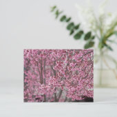 桜の花が舞い散る ピンク ポストカード (スタンド正面)