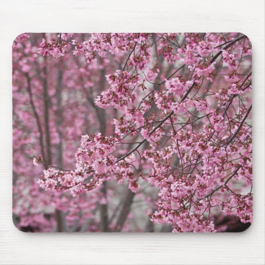 桜の花が舞い散る ピンク マウスパッド (正面)