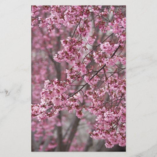 桜の花が舞い散る ピンク 便箋 (正面)