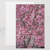 桜の花が舞い散る ピンク 便箋 (正面/裏面)