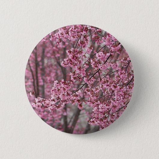 桜の花が舞い散る ピンク 缶バッジ (正面)