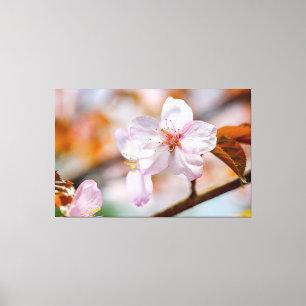 桜の花とオレンジ葉の季節 キャンバスプリント