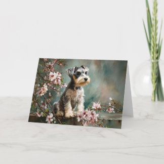 桜の花とシュナウザーの子犬 カード