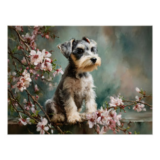 桜の花とシュナウザーの子犬 ポスター
