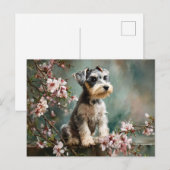 桜の花とシュナウザーの子犬 ポストカード (正面/裏面)