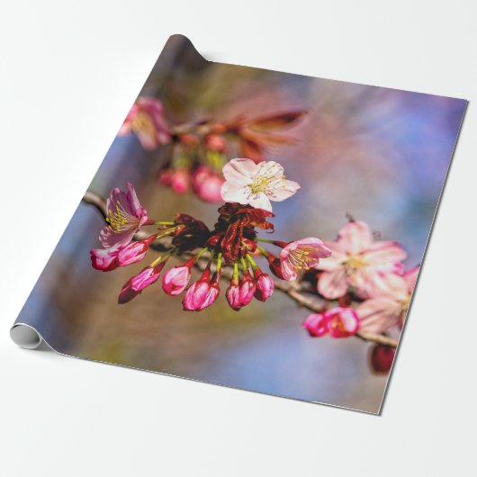 桜の花と晴れた日の紫の芽 ラッピングペーパー (アンロールド)