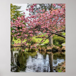 桜の花と池のフォトグラフィック ポスター