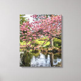 桜の花と池の写真 キャンバスプリント