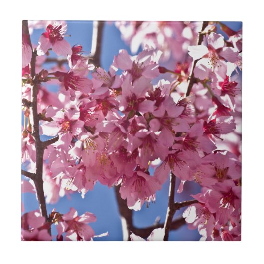 桜の花と赤い星 タイル (正面)