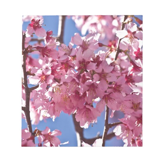 桜の花と赤い星 ノートパッド (正面)