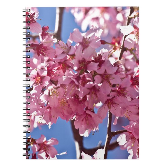 桜の花と赤い星 ノートブック (正面)