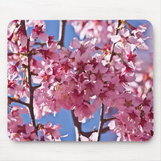 桜の花と赤い星 マウスパッド (正面)