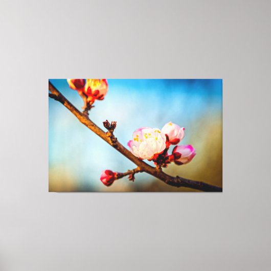 桜の花と青い空 キャンバスプリント (正面)