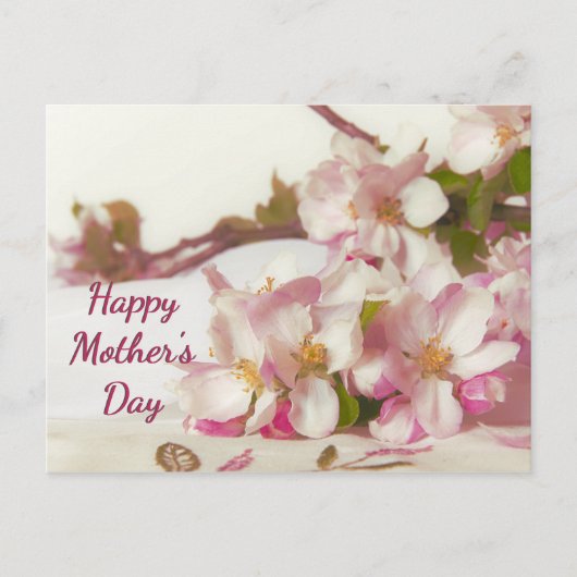 桜の花のポストカード ポストカード (正面)