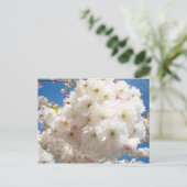 桜の花のポストカード ポストカード (スタンド正面)