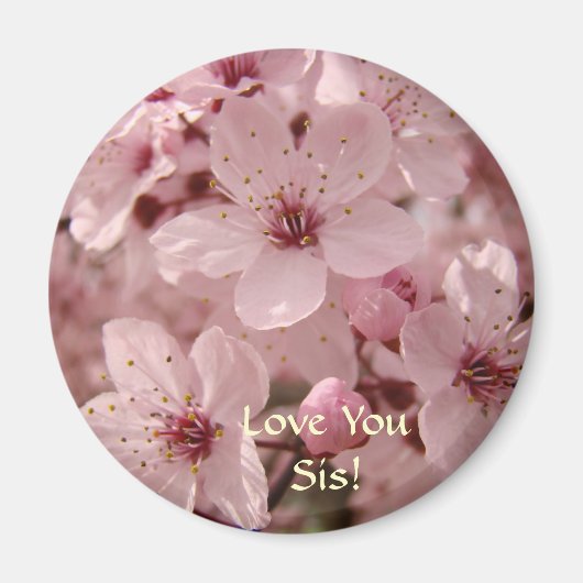桜の花のマグネットギフト 愛するお姉さんへ マグネット (正面)