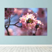 桜の花の丸い房が満開だ キャンバスプリント (インサイチュ (ウッドフロア))