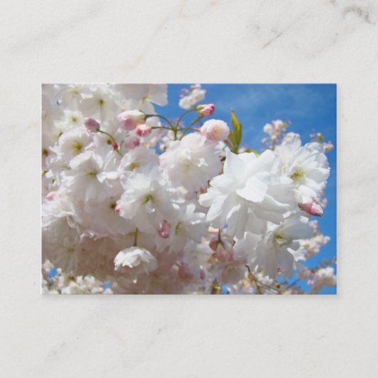 桜の花の春の予約カードのリマインダー 予約カード (正面)