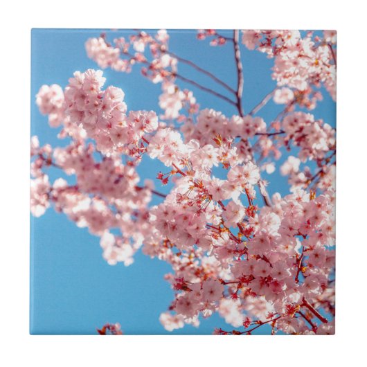 桜の花の木 タイル (正面)