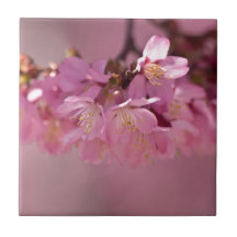 桜の花の繊細なピンクのブーケ
