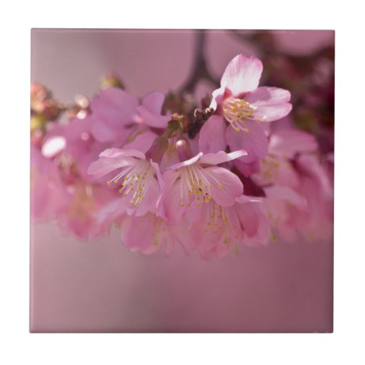 桜の花の繊細なピンクのブーケ タイル (正面)