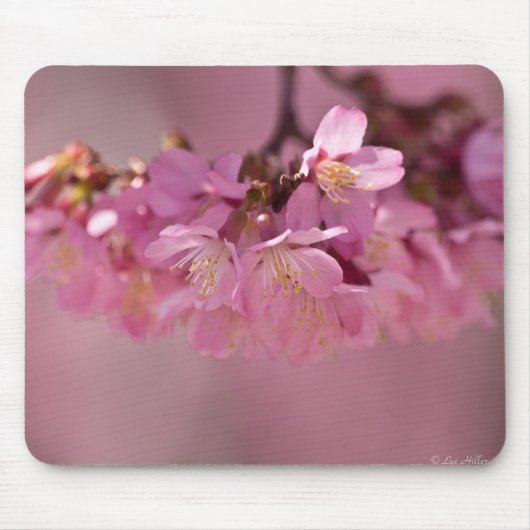 桜の花の繊細なピンクのブーケ マウスパッド (正面)