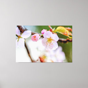 桜の花の自然な花卉構成 キャンバスプリント
