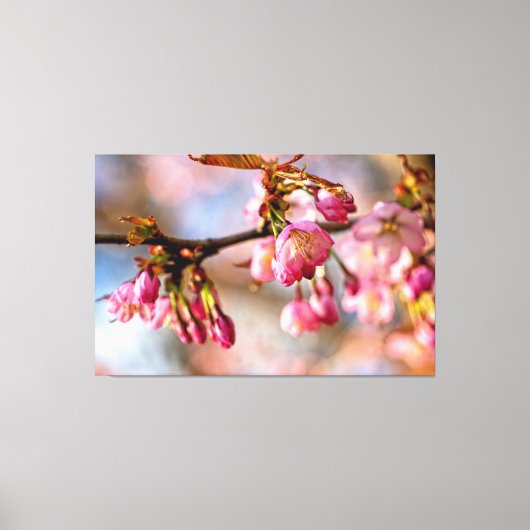 桜の花びらに舞う光と影の戯れ キャンバスプリント (正面)