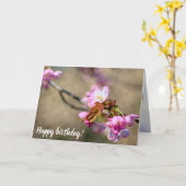 桜の花を緑がかった背景に向けて カード (黄色い花)