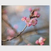 桜の花を背景に灰色 ラッピングペーパー (フラット)