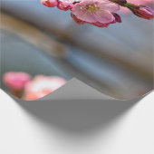 桜の花を背景に灰色 ラッピングペーパー (角)