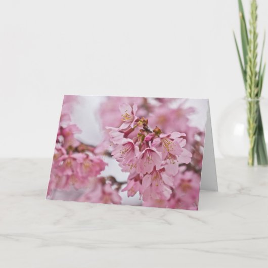 桜の花薄ピンク カード (正面)