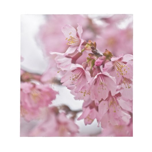 桜の花薄ピンク ノートパッド (正面)