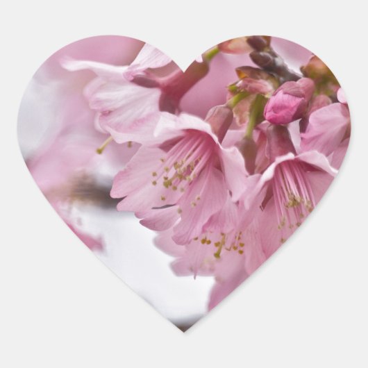 桜の花薄ピンク ハートシール (正面)