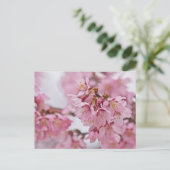 桜の花薄ピンク ポストカード (スタンド正面)
