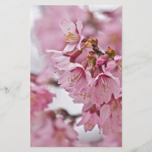 桜の花薄ピンク 便箋 (正面)