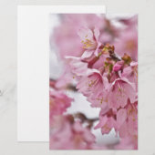 桜の花薄ピンク 便箋 (正面/裏面)