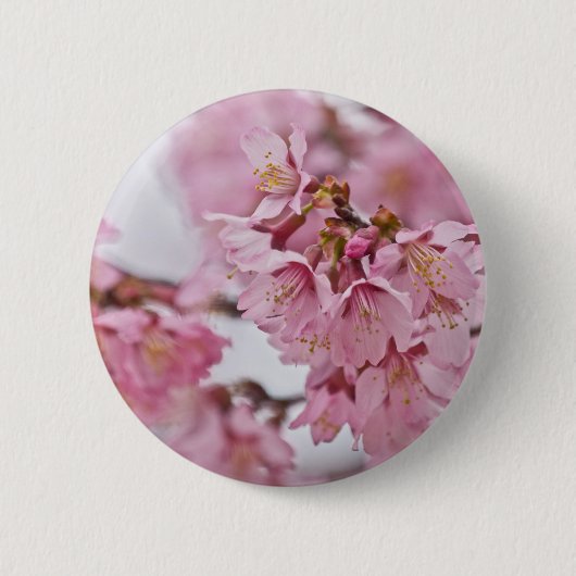 桜の花薄ピンク 缶バッジ (正面)