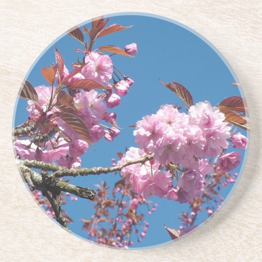 桜の花 コースター (正面)