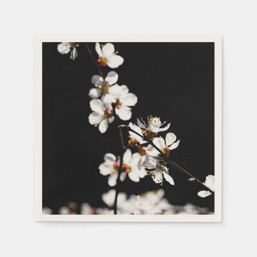 桜の花 スタンダードカクテルナプキン (正面)