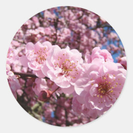 桜の花 ステッカー シール 花