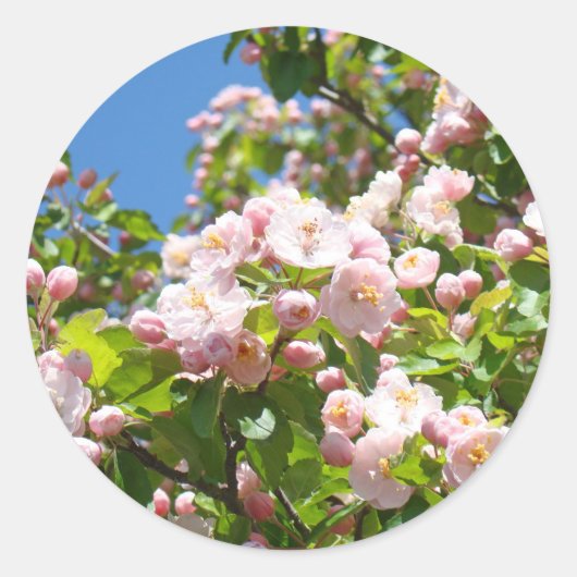 桜の花 ステッカー 封筒 シール 春 (正面)