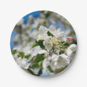 桜の花 ペーパープレート (正面)