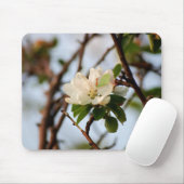 桜の花 マウスパッド (マウス)